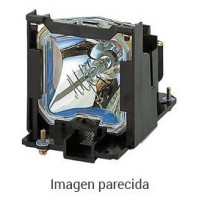 BENQ PROYECTOR ACCESORIOS  (5J.JNL05.001) LAMP MODULE TK70 (Espera 4 dias)