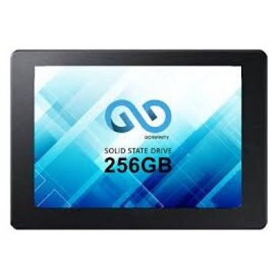 SSD 2.5" 256GB GO-INFINITY SATA III BULK (Espera 4 dias)